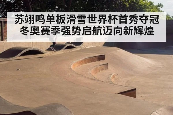 苏翊鸣单板滑雪世界杯首秀夺冠 冬奥赛季强势启航迈向新辉煌